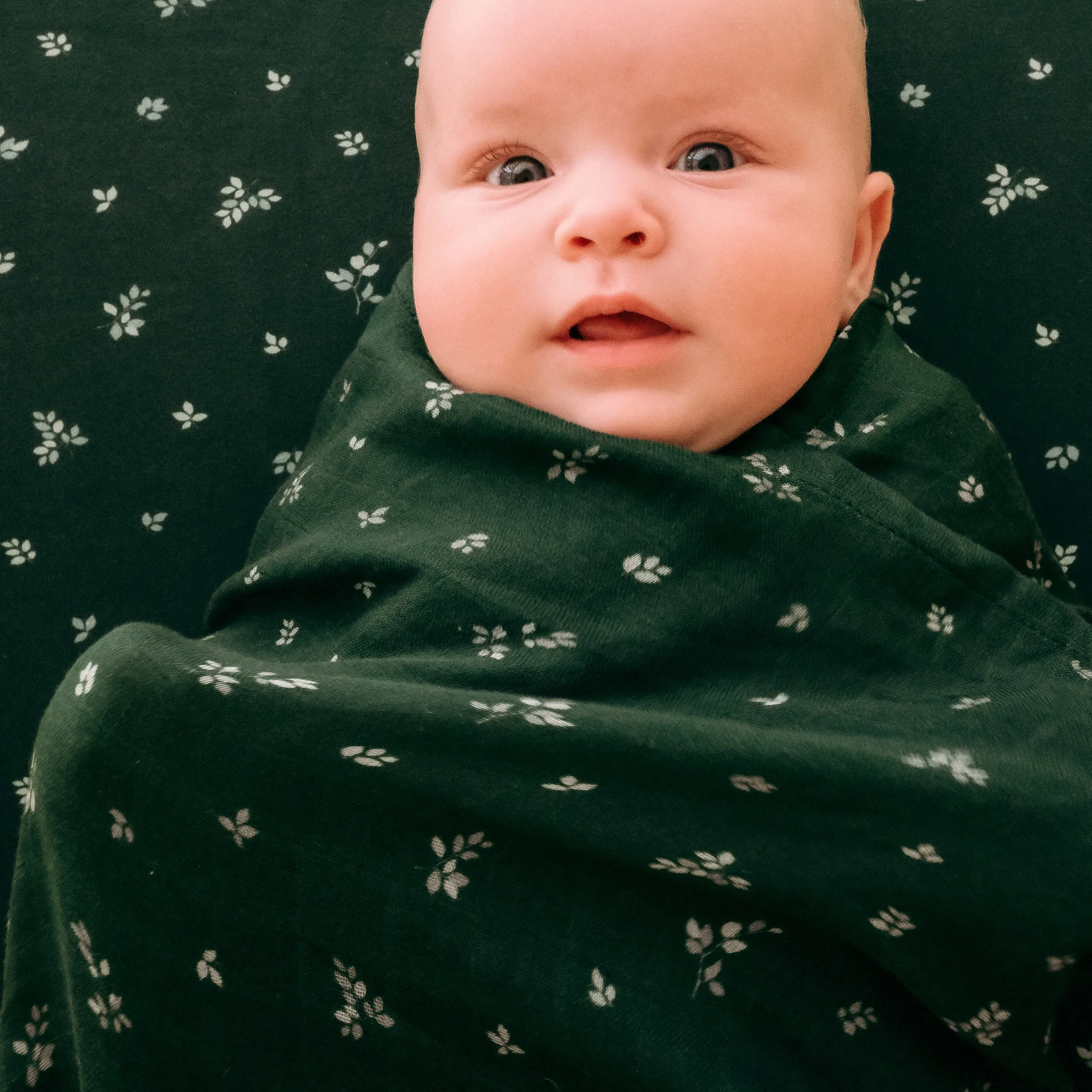 Fox & Fallow Organic Muslin Wrap - Spruce