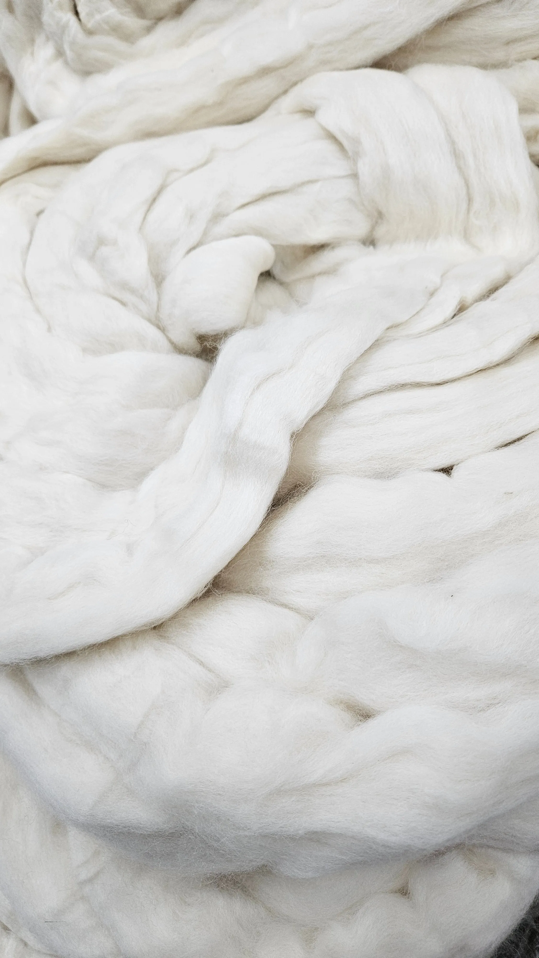 ORGANIC MERINO Natural Wool Top Beginner Spinning Felting Carding Dyeing - 6 ounces