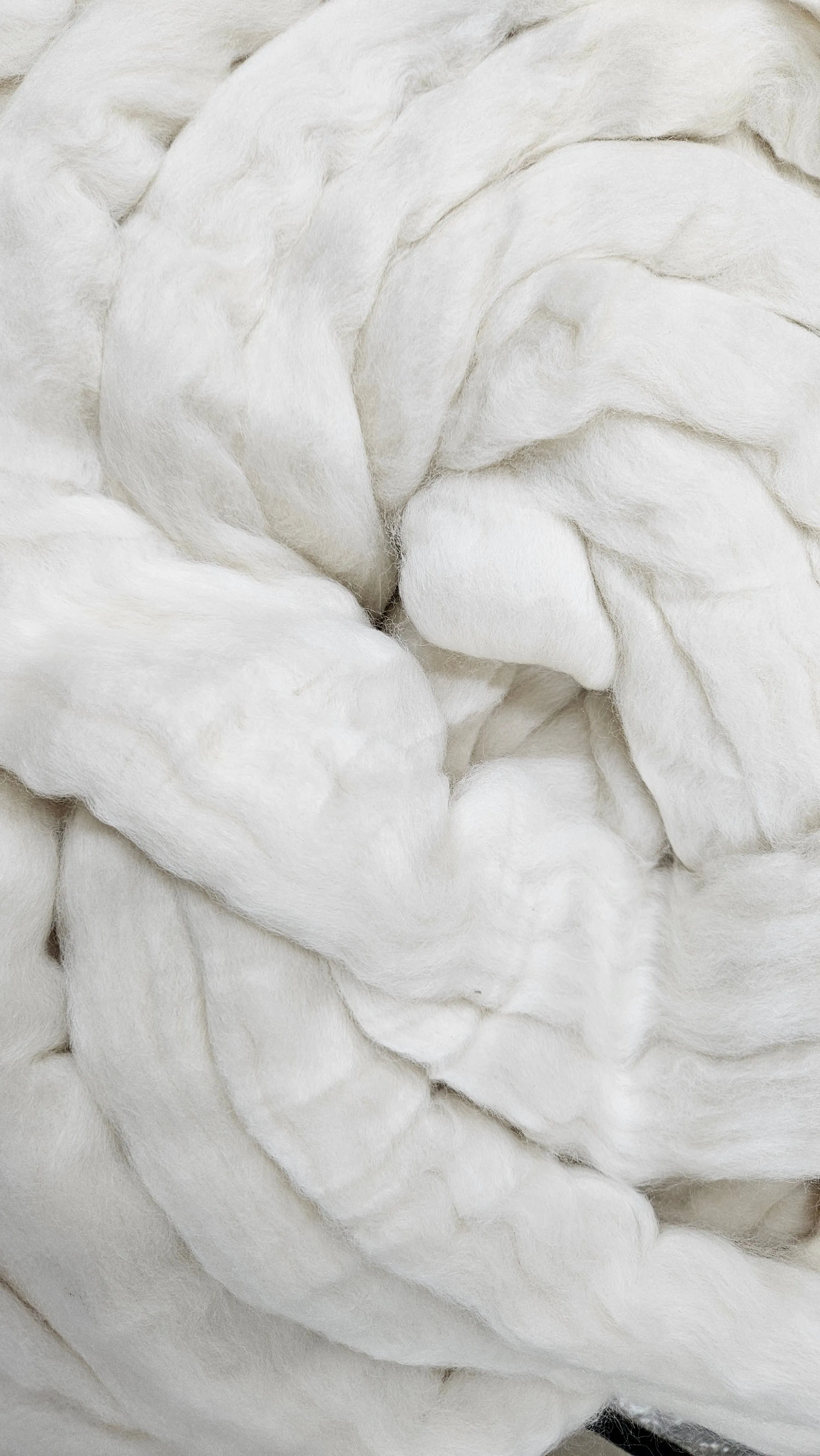 ORGANIC MERINO Natural Wool Top Beginner Spinning Felting Carding Dyeing - 6 ounces