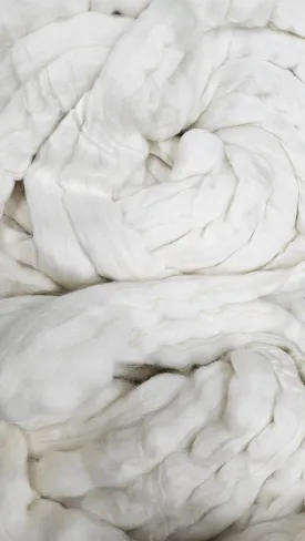 ORGANIC MERINO Natural Wool Top Beginner Spinning Felting Carding Dyeing - 6 ounces
