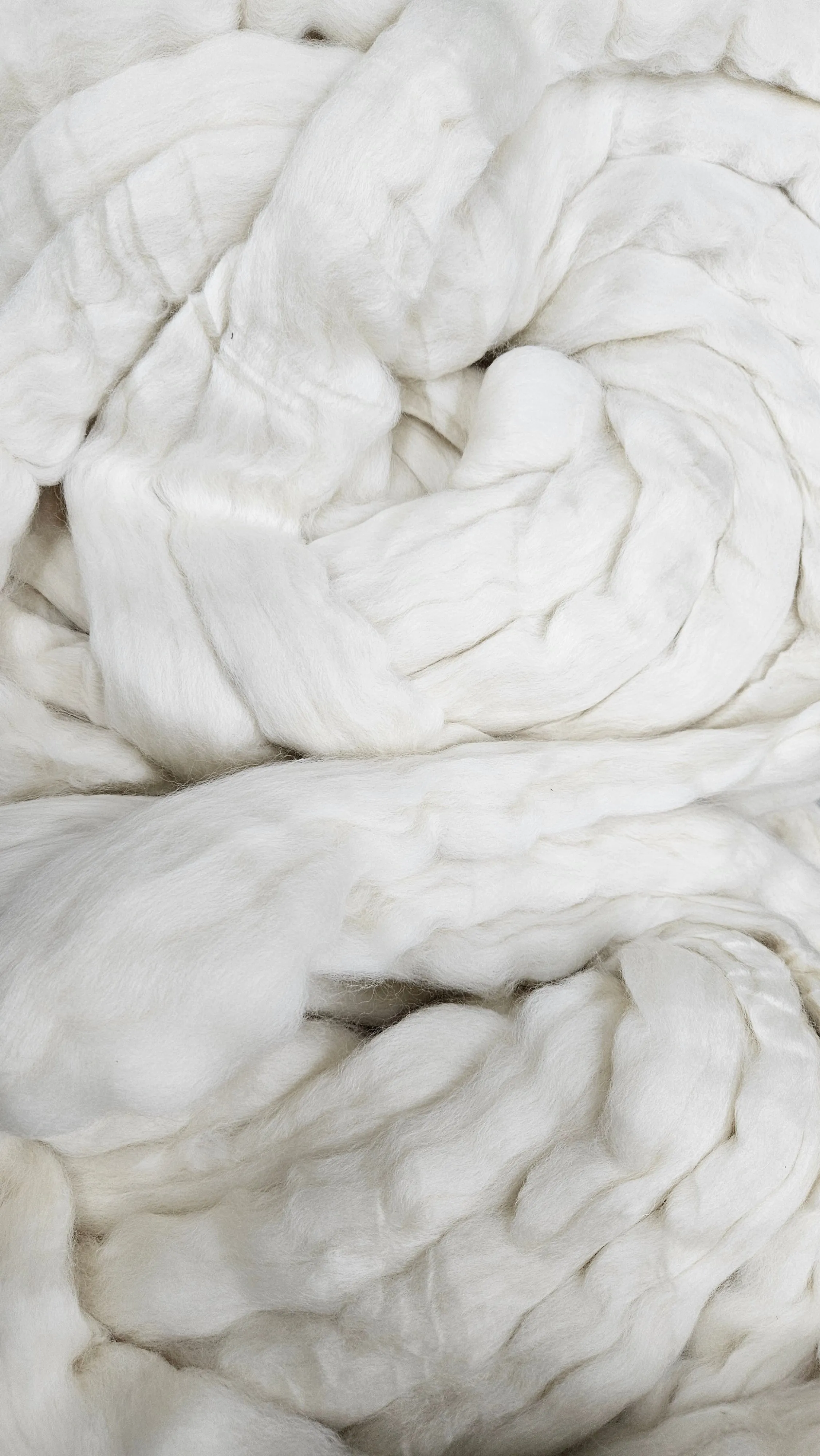 ORGANIC MERINO Natural Wool Top Beginner Spinning Felting Carding Dyeing - 6 ounces