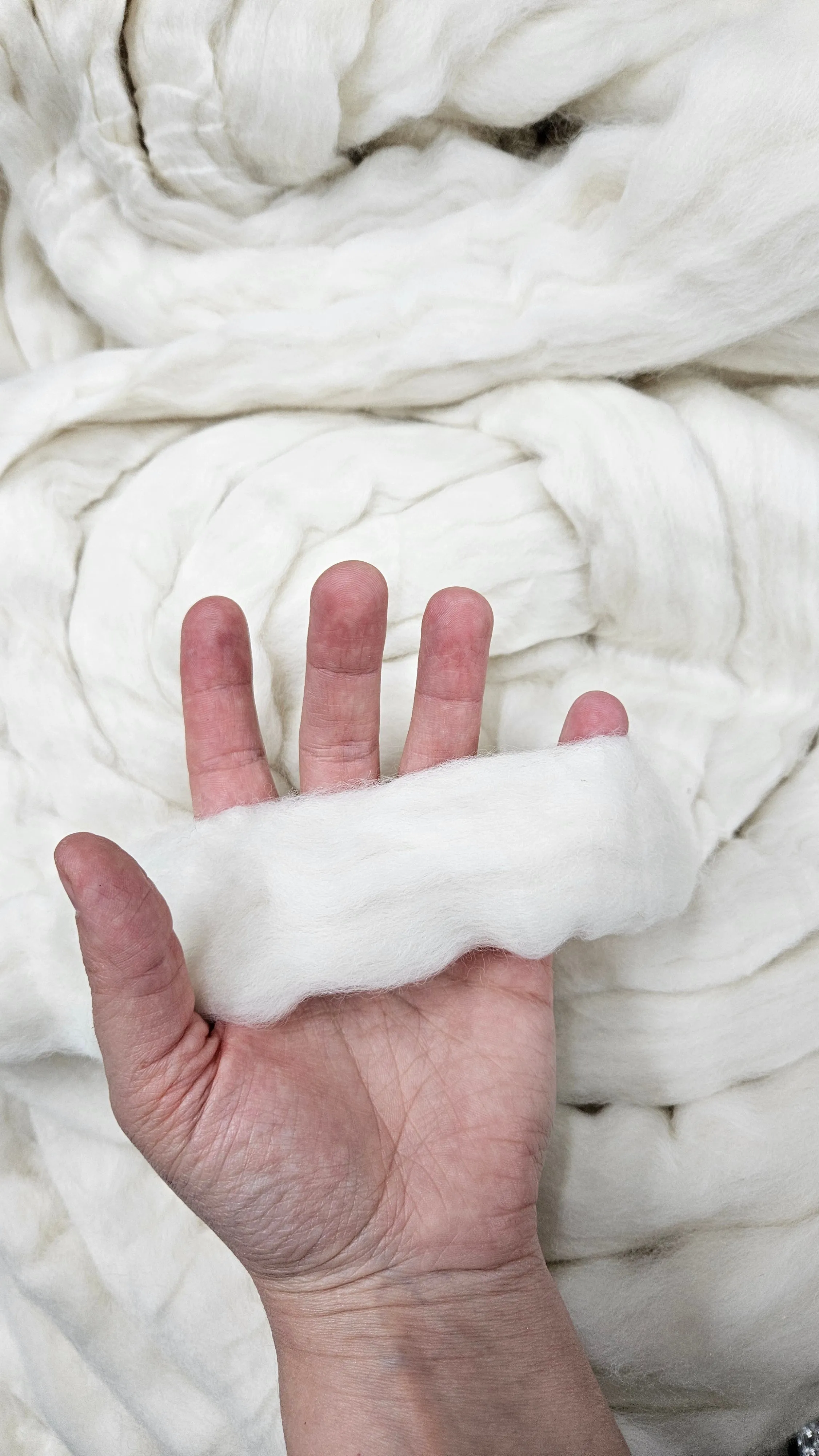 ORGANIC MERINO Natural Wool Top Beginner Spinning Felting Carding Dyeing - 6 ounces